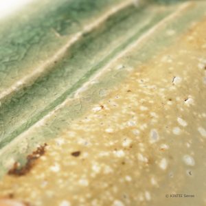 ISEGAHAMA Seashore Teller Copyright Kintei Sense