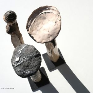 Skulpturen und Objekte