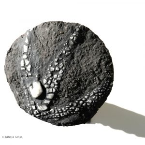 DSCF5114 Marie Juge Raku Sculpture Nina Hat