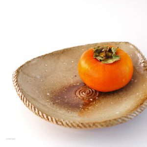 KSC141002 ISEGAHAMA Triangle Plate Hyuga Spiral Teller 2