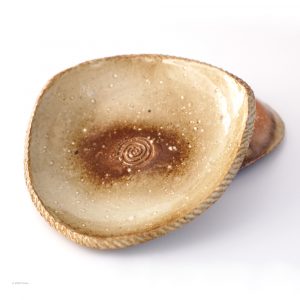 KSC141002 ISEGAHAMA Triangle Plate Hyuga Spiral Teller 8