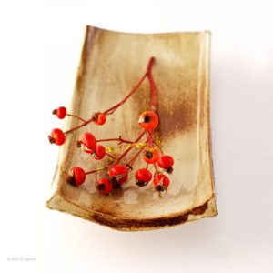 KSC141003 ISEGAHAMA Tile Plate Hokoshima Dachziegel Teller 2