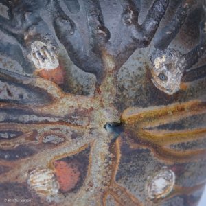 Rupert Grottenthaler Ofentränen Groß Ascheglasur Detail vorne KINTEI Sense Japanische Keramik