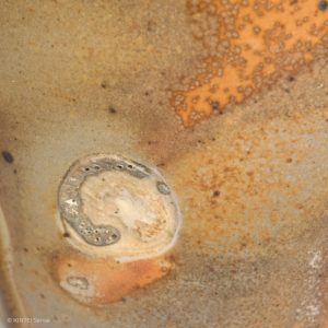 Rupert Grottenthaler Ofentränen Hell Muschel Abdruck Detail KINTEI Sense Japanische Keramik