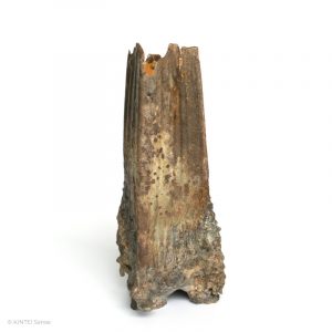 Rupert Grottenthaler Viereckige Glutrosen Vase Hinten KINTEI Sense Japanische Keramik