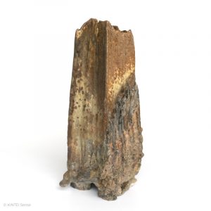 Rupert Grottenthaler Viereckige Glutrosen Vase Hintere Seite KINTEI Sense Japanische Keramik