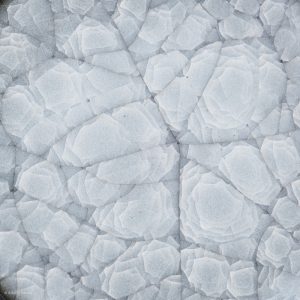 KSC141015 KŌBŌ DAIDAI Seladon Hoher Teller Suzuki Takashi, Nebukawa KINTEI Sense, Keramik, Japan Snowflakes Glasur Detail