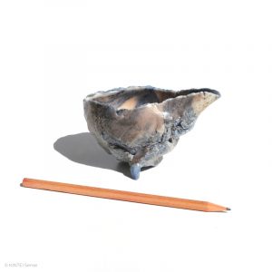 KSC161011 ISHIDA Kazuya Marbrierte Porzellan Kanne KINTEI Sense Bizen Japan Vordere volle Ansicht mit Maß