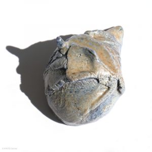 KSC161011 ISHIDA Kazuya Marbrierte Porzellan Kanne KINTEI Sense Bizen Japan Hintere volle Ansicht vom Boden