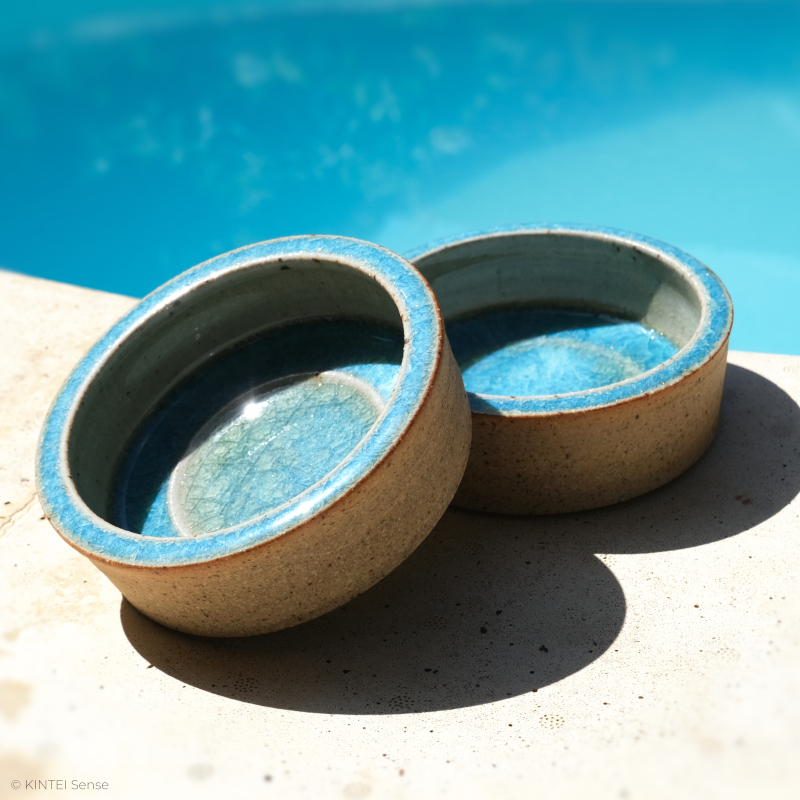 KINTEI Sense Japanische Keramik Close Up Suzuki Mikan Kaiyu Schale