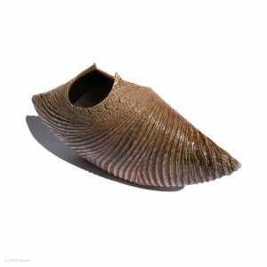 KSC351014 Ishida Kazuya Raho Skulptur Bizen Keramik KINTEI Sense Unglasiertes Gefäß Gesamtbild