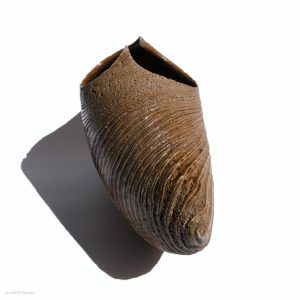 KSC351014 Ishida Kazuya Raho Skulptur Bizen Keramik KINTEI Sense Unglasiertes Gefäß Profil Spitze