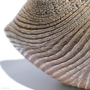 KSC351014 Ishida Kazuya Raho Skulptur Bizen Keramik KINTEI Sense Unglasiertes Gefäß Hintere Spitze Detail