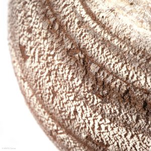 KSC351015 Ishida Kazuya Runde Raho Vase KINTEI Sense Bizen Keramik Anagama Holzbrand Unglasierte Vase Detail Seite Textur