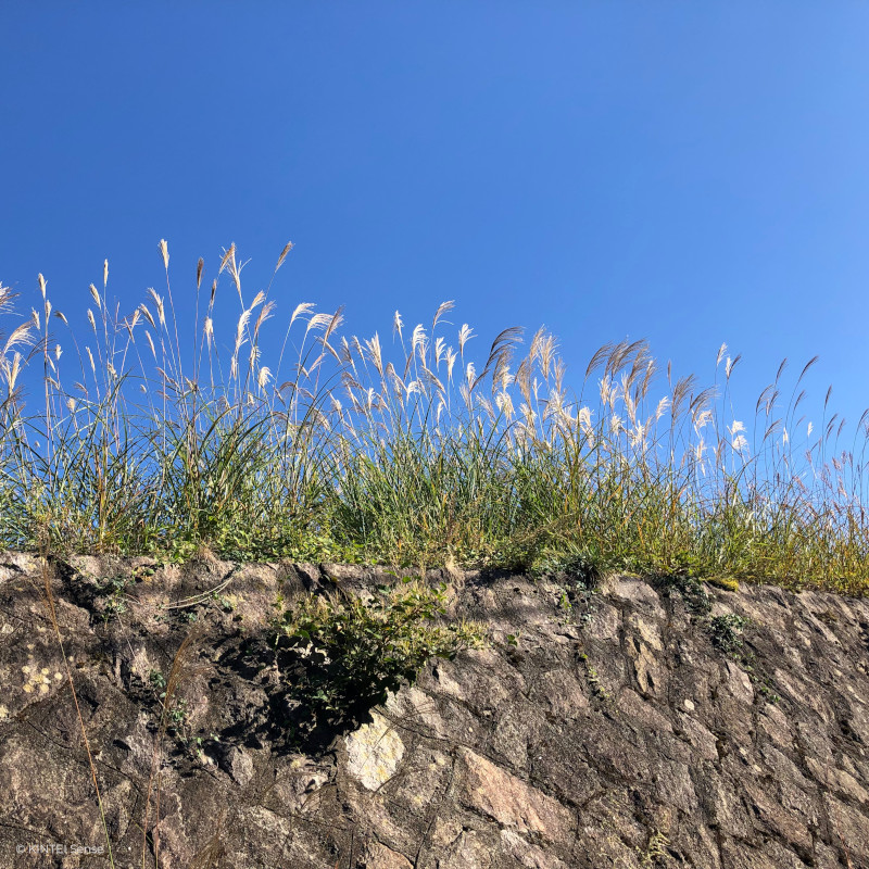 KINTEI Sense TAO Akira Shigaraki Japan Keramik Skulpturen Shigaraki Landschaft