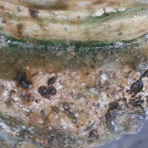 Tanimoto Takashi Mita Gama Iga Japan KINTEI Sense Keramik Kunst Handwerkskunst Kunsthandwerk Teekeramik Teezeremonie Holzbrand Anagama Iga Hanaire mit Ohren Ikebana Vase Tokoma Detail Yohen Holzbrand Veränderungen