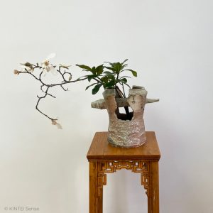 KINTEI Sense SAWA Katsunori Shigaraki Tsubo Anagama wood-firing ashglaze Tea ceremony Momoyama Gefäß Ikebana Blumen