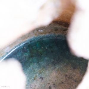 KINTEI Sense SAWA Katsunori Shigaraki Tsubo Anagama wood-firing ashglaze Tea ceremony Momoyama Gefäß Innen natürliche Bidoro Ascheglasur